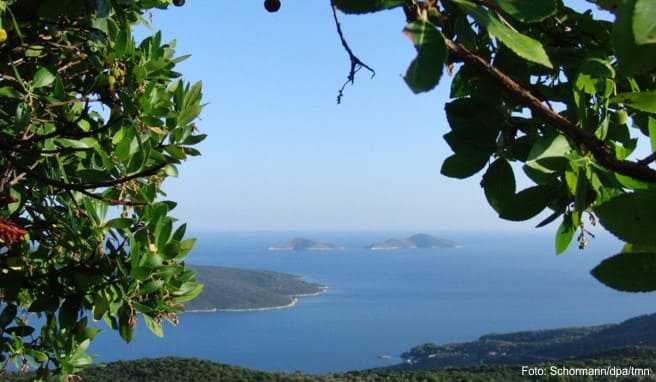Alonissos ist umgeben von kleinen, unbewohnten Inseln. Im 2200 Quadratkilometer großen Meeresnationalpark sehen Urlauber mit Glück Delfine und Mönchsrobben.
