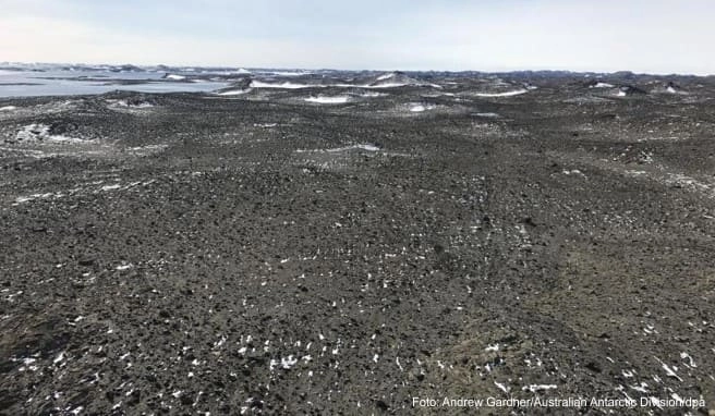 Die Antarktis ist ein Naturparadies und Lebensraum vieler Tierarten. Australien verfolgt nun Pläne, dort einen Flughafen zu bauen Die Antarktis ist ein Naturparadies und Lebensraum vieler Tierarten. Australien verfolgt nun Pläne, dort einen Flughafen zu bauen