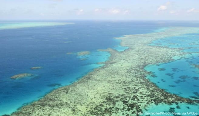 Die Umweltschäden am Great Barrier Reef nehmen zu. Das Unesco-Welterbekomitee fordert Australien eindringlich auf, Maßnahmen gegen den Klimawandel zu treffen
