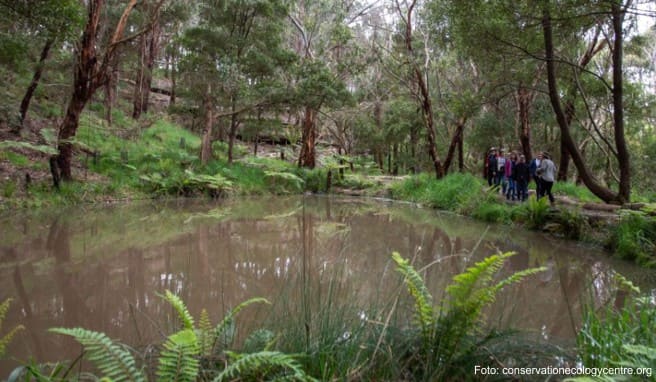 Australien-Urlaub  Wander- und Naturerlebnisse in Victoria