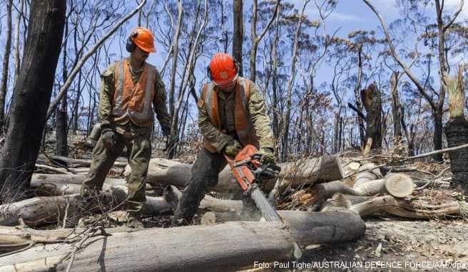 Nach den Buschbränden haben in Australien die Aufräumarbeiten begonnen. Als Helfer sollen auch Backpacker eingespannt werden
