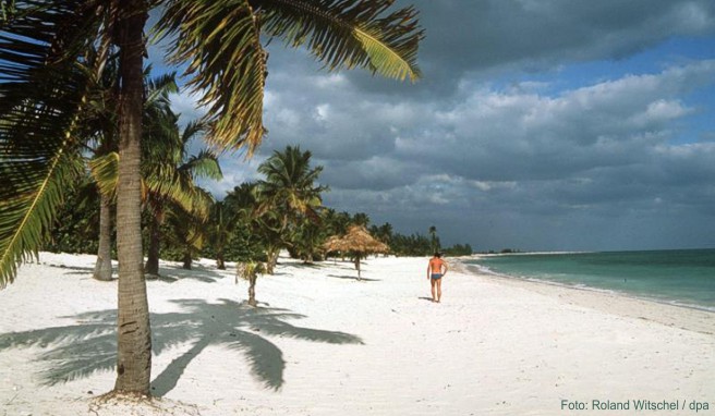 Traumhafter, weißer Sandstrand mit Palmen wohin das Auge reicht. Strände wie diese sind beliebte Anlegestellen der Kreuzfahrt in der Karibik