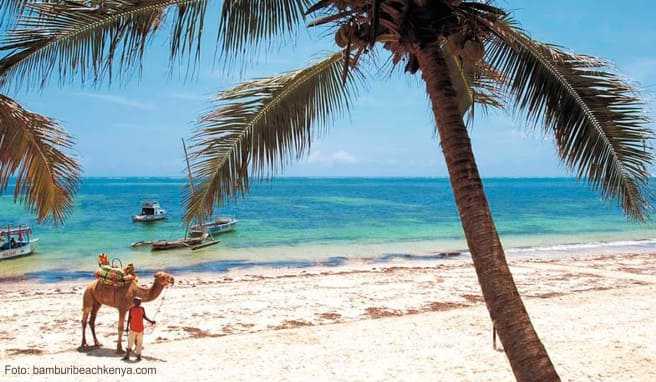 Entspannen unter Palmen: der Bamburi Beach nördlich von Mombasa