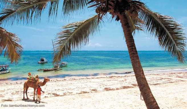 Reisen in Afrika  Bibel, Beach und Busch im östlichen Afrika