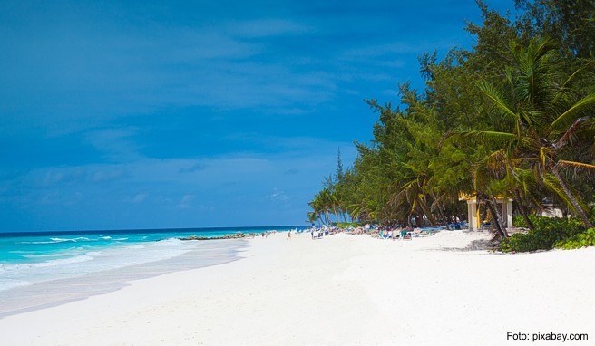 Barbados besitzt eine der abwechslungsreichsten Naturlandschaften der Karibik