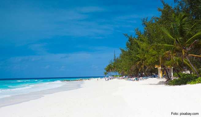 Karibik-Reise  Vielfältiger Traumurlaub auf der Insel Barbados