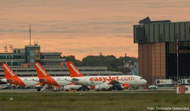 Klimaneutral fliegen  Billigflieger Easyjet will den Kerosinverbrauch ausgleichen