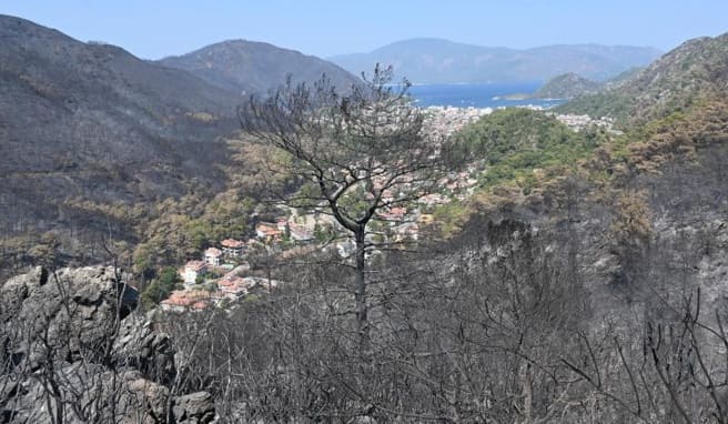 In der bei Touristen beliebten Region Marmaris hat das Feuer ganze Landstriche verbrannt zurückgelassen