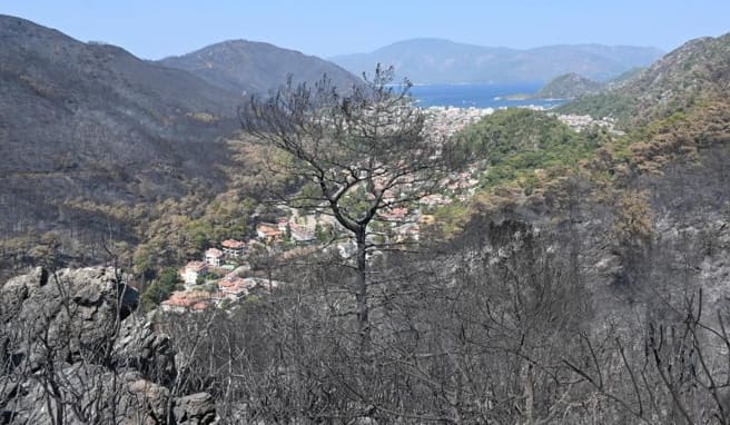 Schlimmer als Corona Brände treffen türkischen Tourismus hart