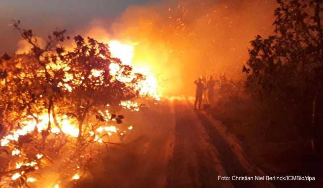 Waldbrand im Naturpark Chapada dos Guimaraes