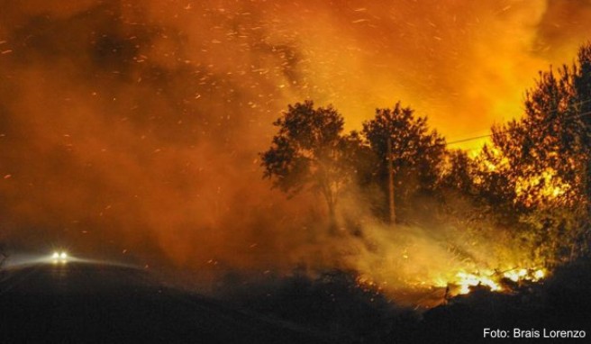 Auswärtiges Amt  Vorsicht vor Waldbränden in Chile