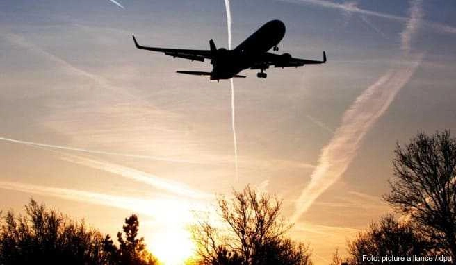 Die Airlines nehmen wieder ihren Betrieb auf. Um mehr Kunden zu gewinnen, könnten die Fluggesellschaften in den kommenden Wochen auf niedrige Ticketpreise setzen Die Airlines nehmen wieder ihren Betrieb auf. Um mehr Kunden zu gewinnen, könnten die Fluggesellschaften in den kommenden Wochen auf niedrige Ticketpreise setzen