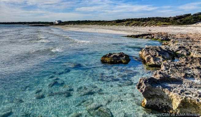 Die Abwesenheit von Touristen ist an den Stränden Mallorcas spürbar. «Das Wasser ist derzeit spektakulär transparent», sagt der Biologe Txema Brotons