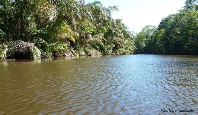 Vorsicht in Costa Rica Warnung vor bewaffneten Raubüberfällen