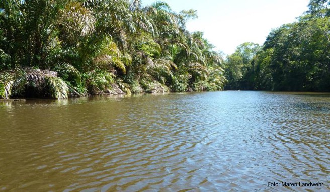 Vorsicht in Costa Rica  Warnung vor bewaffneten Raubüberfällen