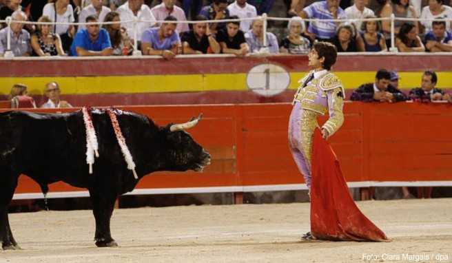 Der französische Stierkämpfer Sebastian Castellar trat bereits auch in der Stierkampfarena Coliseo Balear von Palma de Mallorca auf. Nach rund zweijähriger Zwangspause sollen hier nun wieder Stierkämpfe stattfinden
