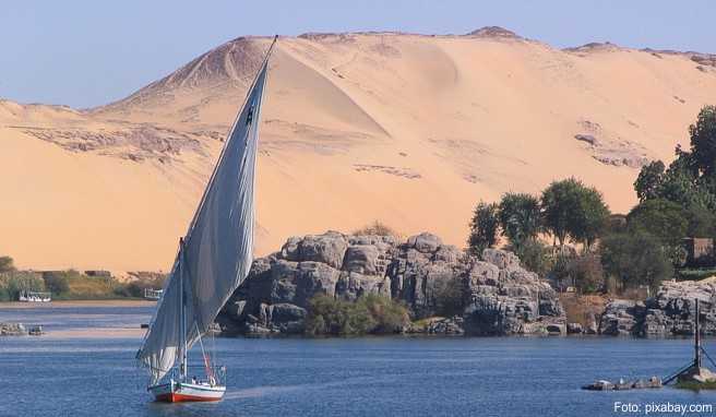 E.-coli-Bakterien Vorsicht bei Obst und rohem Gemüse in Ägypten