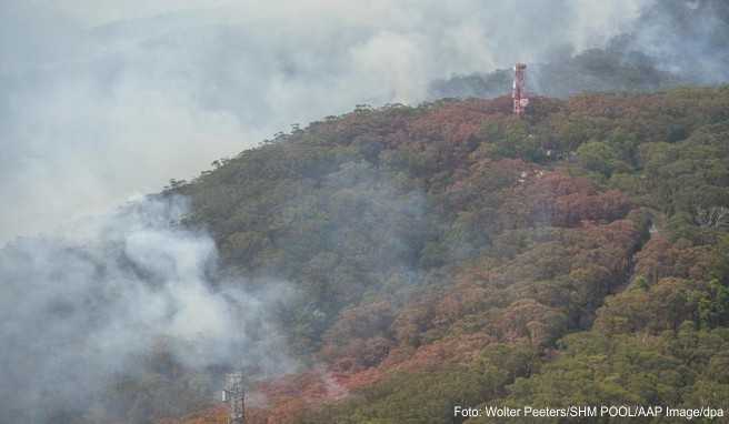 Unveränderte Krisenlage Feuer in Australien wüten auch über Weihnachten weiter