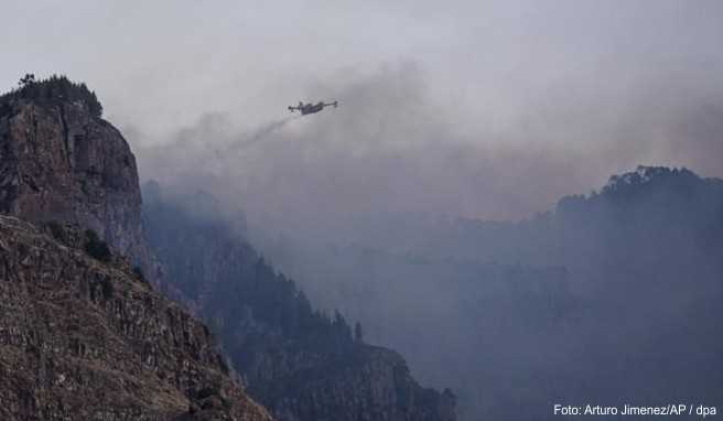 Kanaren Feuerwehr bekommt Waldbrand unter Kontrolle