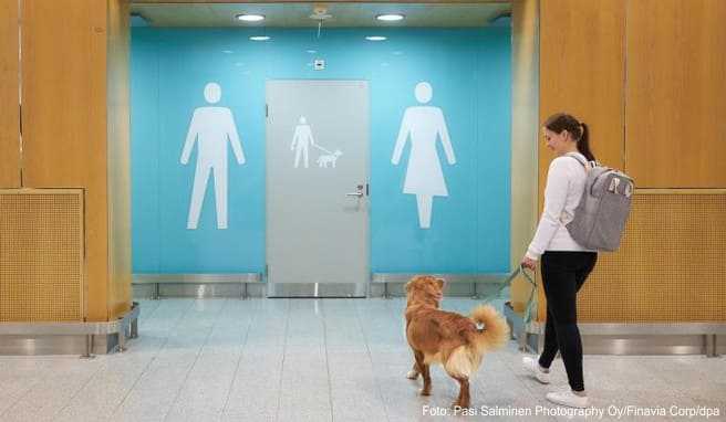 Der finnische Flughafenbetreiber Finavia hat am Airport Helsinki-Vantaa einen Toilettenbereich für Vierbeiner eingeführt