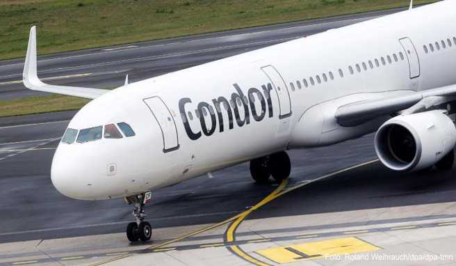Condor-Flugzeug am Flughafen Düsseldorf - die Airline hat einen neuen Tarif in der Economy-Klasse eingeführt