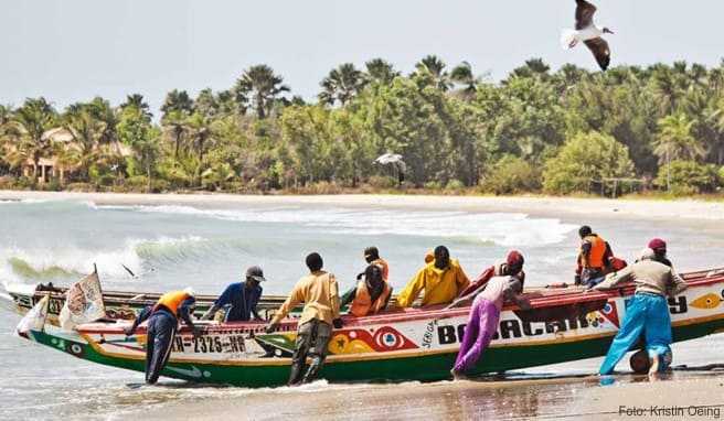 Die Strände in Gambia sind ideal für den Badeurlaub. Liegen und Sonnenschirme sind inklusive.