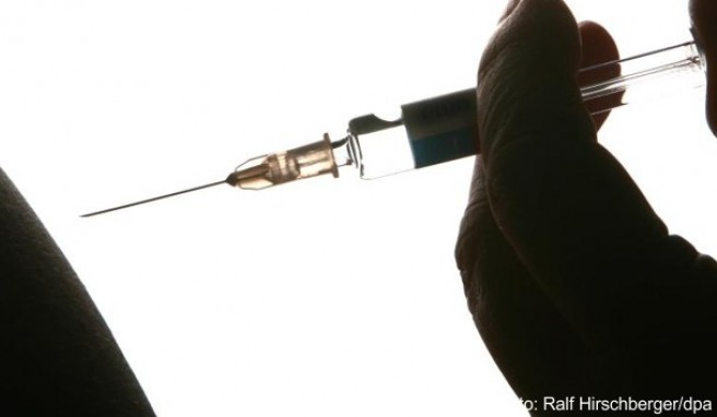 Keine Entwarnung  Gelbfieber-Impfung in Brasilien weiter empfohlen