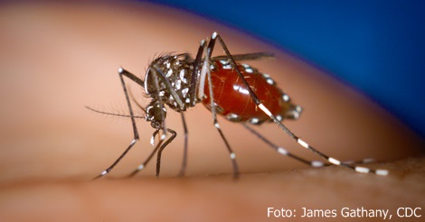 REISE & PREISE weitere Infos zu Gesundheit: Malaria tritt zunehmend auch in höheren Lage...