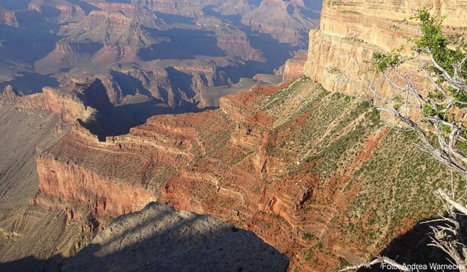 Wem der Blick über den Grand Canyon nicht reicht, der kann sich mit einer Ziplinefahrt eine zusätzliche Adrenalinzufuhr verpassen. Im Westteil wurde jetzt eine neue Strecke eröffnet