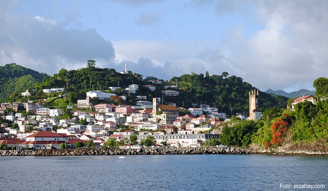 Karibik-Reise  Attraktionen unter Wasser auf der Insel Grenada