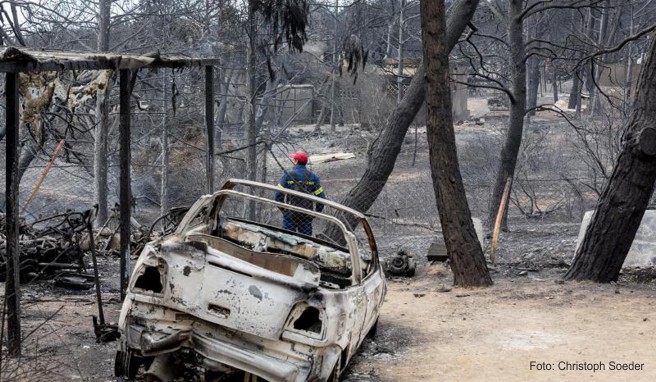 Ein Mann steht vor einem komplett verbrannten Gelände, nachdem dort ein Feuer gewütet hat