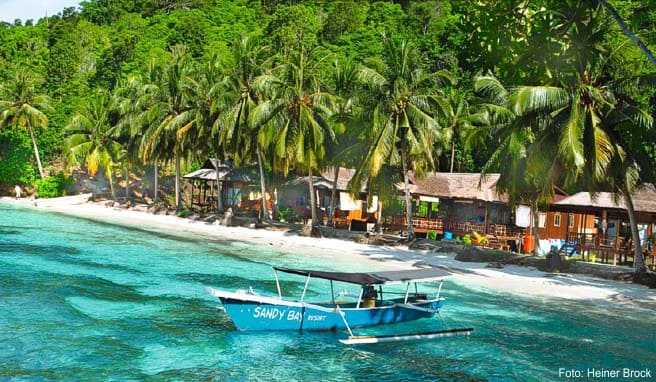 Paradiesisch schön: Die dichtbewaldete Insel Malenge bietet traumhafte Buchten wie die palmengesäumte Sandy Bay