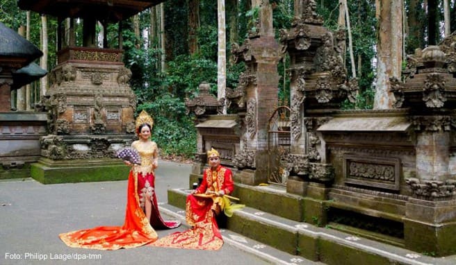 Fotoshooting im Affenwald von Sangeh auf Bali - der Forst mit seinen Tieren lockt viele Besucher der Insel