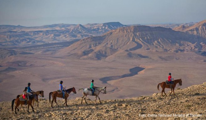 Bisher reisen etwa 5 Prozent aller Touristen, die Israel besuchen, auch in die Wüste Negev
