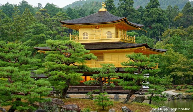 Der goldene Tempel Kinkaku-ji in Kyoto ist eine Sehenswürdigkeit der geschichtsträchtigen Stadt - Japan als Studienreiseziel ist im Trend.