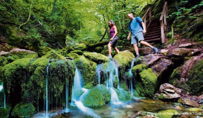 Kanada  Unterwegs auf dem neuen Great Trail in Kanada