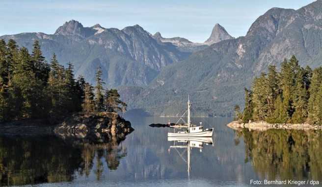 Wer Abgeschiedenheit liebt, ist am Desolation Sound richtig