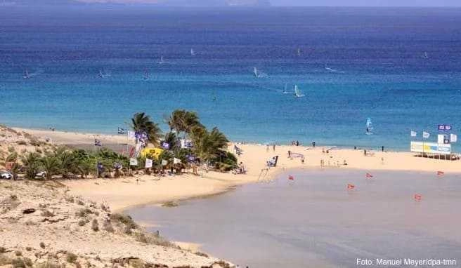 Fuerteventura hat schöne Strände - und viel Wind. Daher kommen auch Windsurfer gerne Fuerteventura hat schöne Strände - und viel Wind. Daher kommen auch Windsurfer gerne