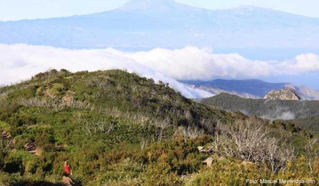 Unterwegs auf der Insel La Gomera: Die Kanaren werden von Reiseveranstaltern weiter angeboten - trotz Beschränkungen des öffentlichen Lebens in Deutschland