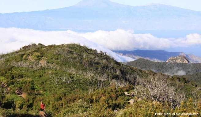 Kanaren Urlaub weiter möglich - Corona-Testpflicht kommt