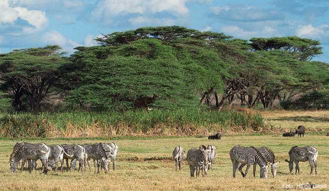 Urlaub in Kenia	