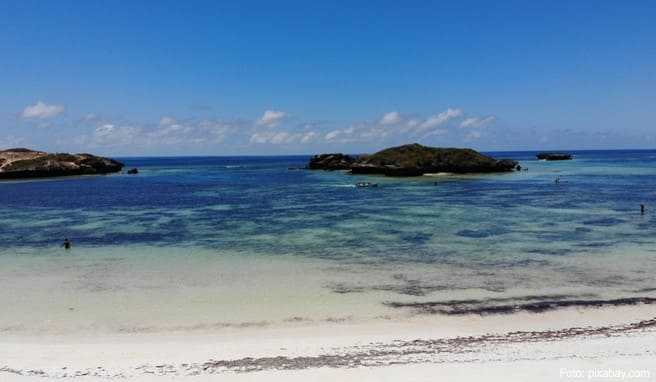 Reise nach Kenia  Naturabenteuer an den Traumstränden in Watamu