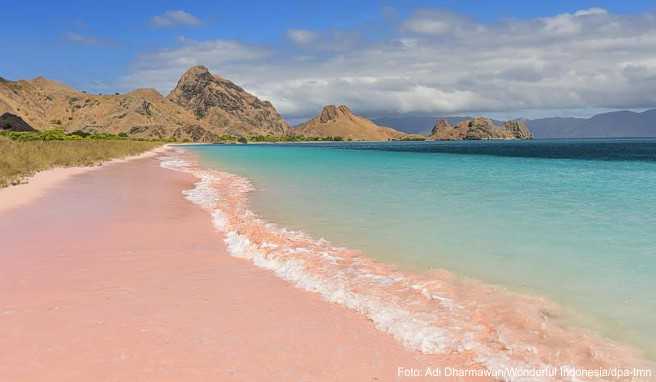 Der Pantai Merah (Pink Beach) auf der Insel Komodo fasziniert - Korallenrückstände färben dort den Sand