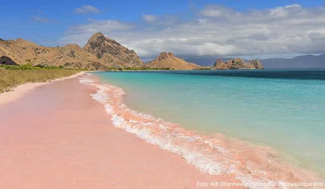 Indonesien-Reise  Der Komodo-Nationalpark bleibt für Touristen geöffnet