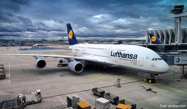 Lufthansa-, SWISS- und Austrian-Kunden erhalten eine Garantie, schnellstmöglich in die Heimat ausgeflogen zu werden