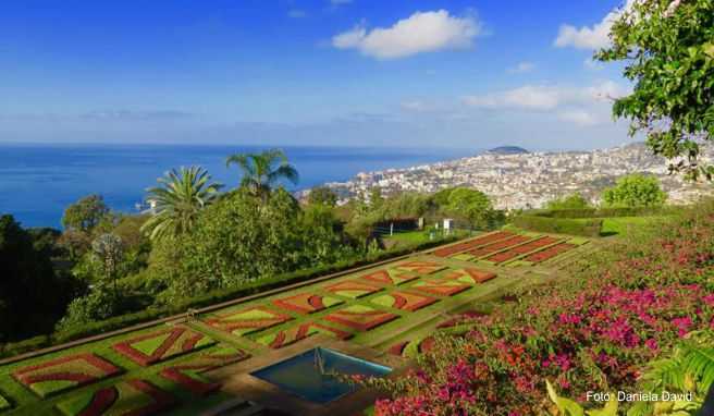 Vorne kunstvoll angeordnete Pflanzen, hinten der Atlantik und die Stadt Funchal: Naheliegend, dass das Parterre des Jardim Botânico da Madeira ein besonders beliebtes Fotomotiv ist