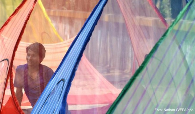 Malaria Wie Reisende sich vor Infektion schützen