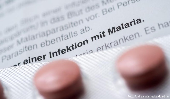 Tabletten zur Malariaprophylaxe: Der Schutz vor der Infektionskrankheit ist in ihren Verbreitungsgebieten noch wichtiger geworden