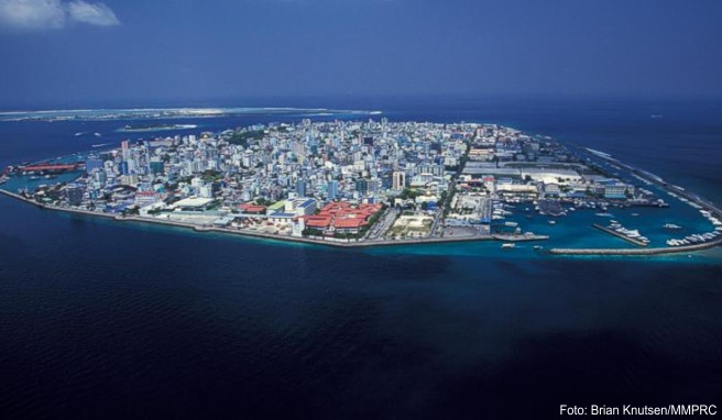 Malediven-Reise  In der Hauptstadt Malé tobt das Leben