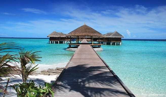 Malediven-Urlaub  Luxus unter Palmen ist der neue Trend